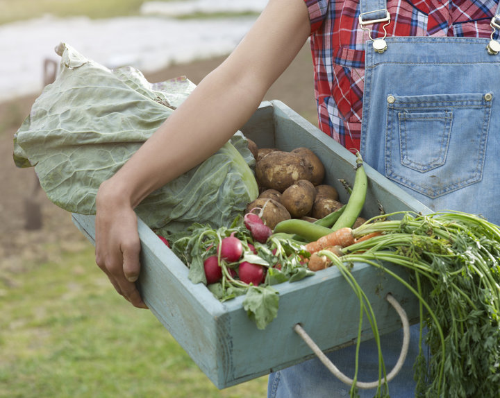 Image of a white person's arm holding a box of vegtables